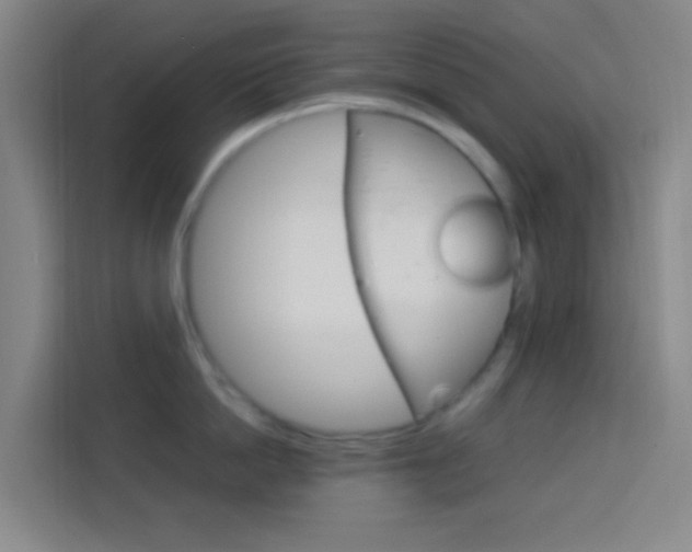 X0000114170862200910081112