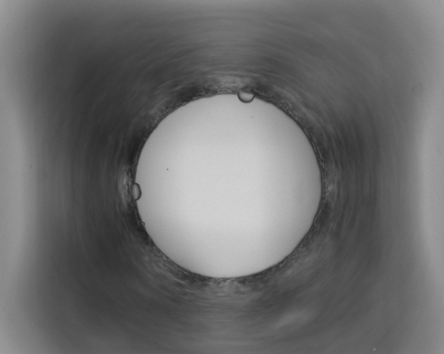 X0000114170866200910081111