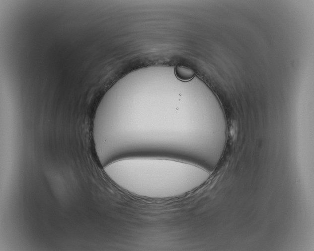 X0000114170867200910081111