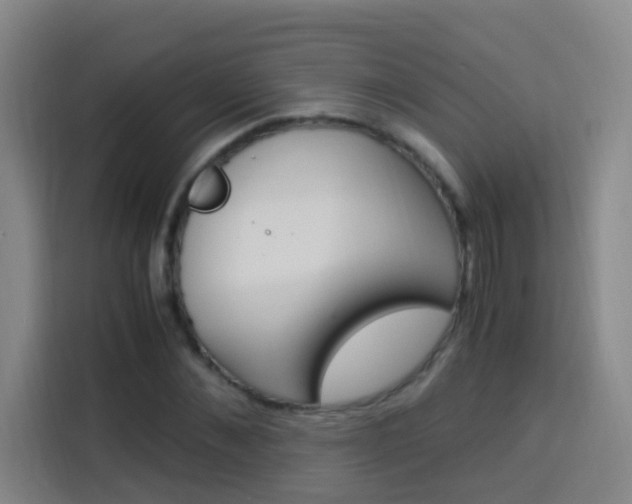 X0000114170876200910081111