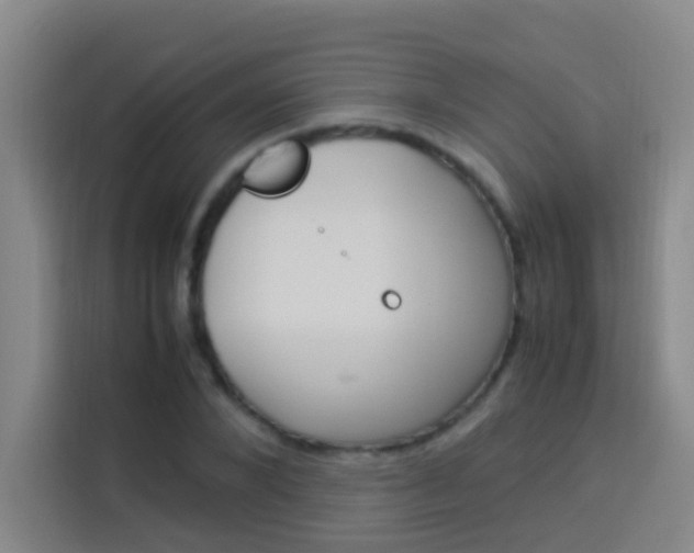 X0000114170880200910081111