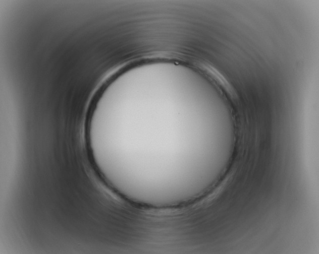 X0000114170884200910081111