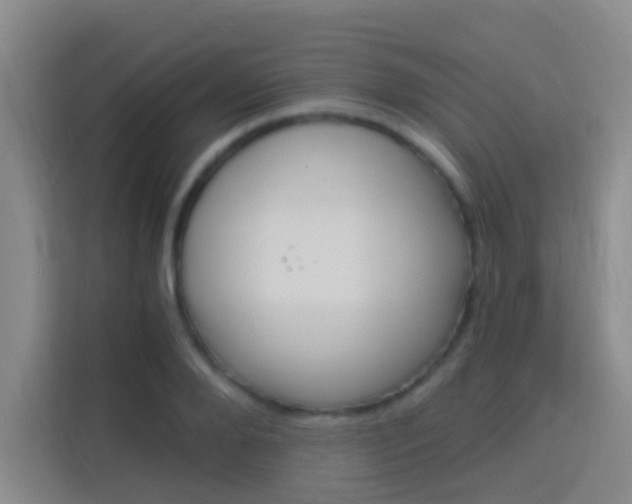 X0000114170888200910081111