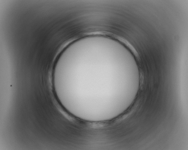 X0000114170890200910081111