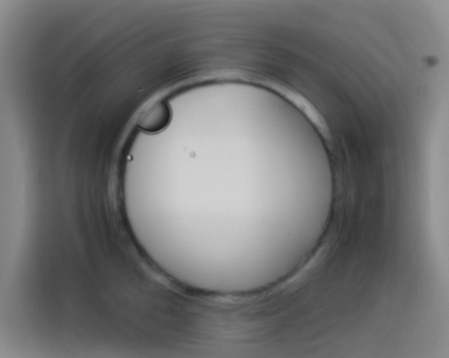 X0000114170904200910081111