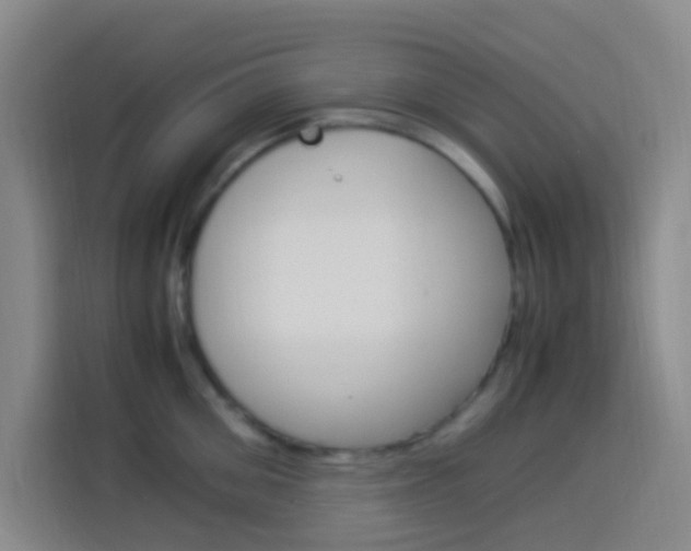 X0000114170906200910081111