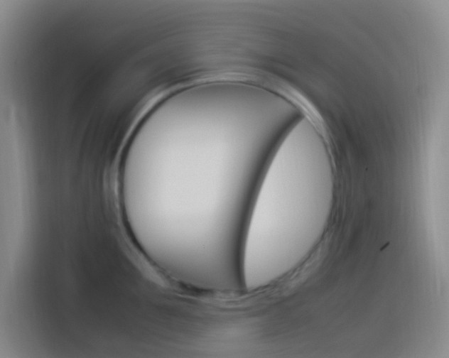 X0000114170907200910081111