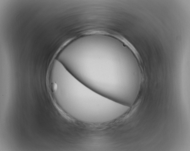 X0000114170909200910081111