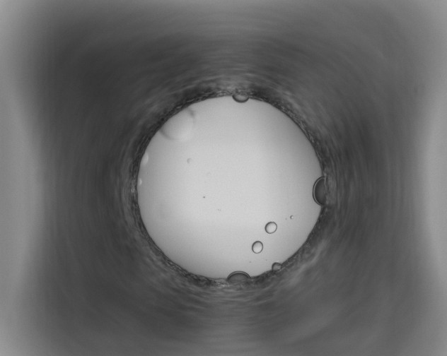 X0000114170913200910081110