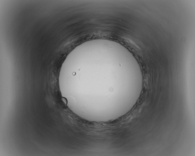 X0000114170917200910081110