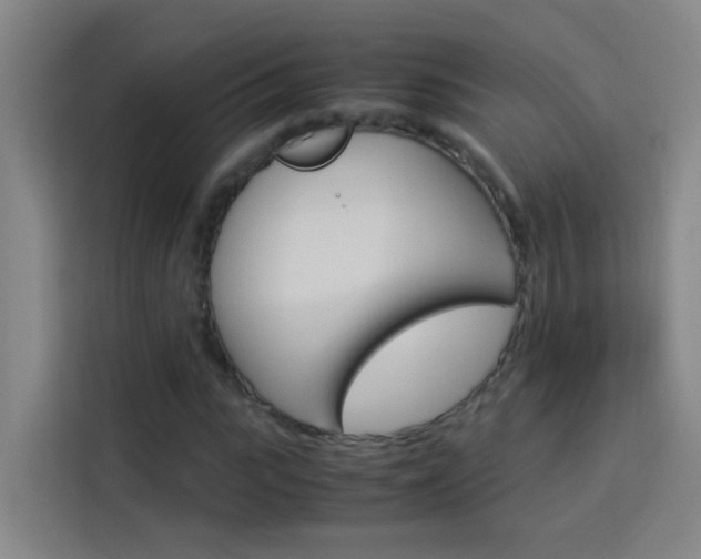 X0000114170919200910081110
