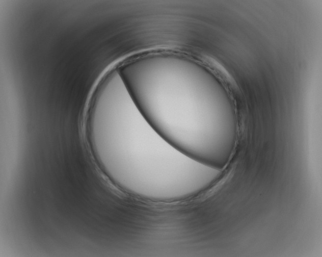 X0000114170924200910081110