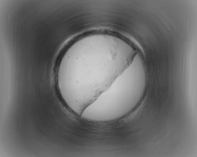 X0000114170927200910081110
