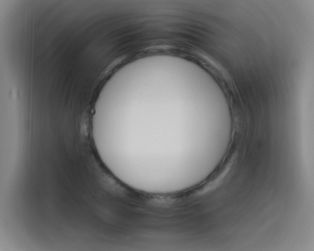 X0000114170929200910081110
