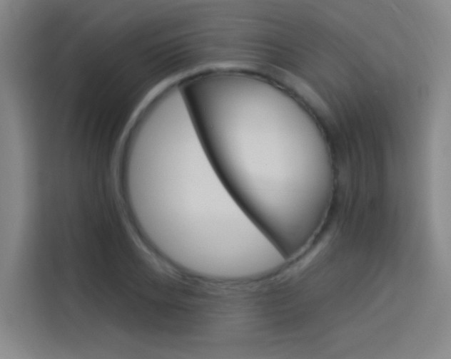 X0000114170934200910081110
