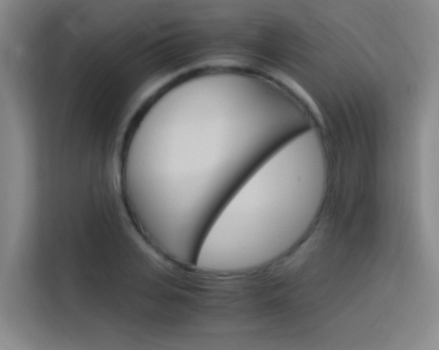 X0000114170935200910081110