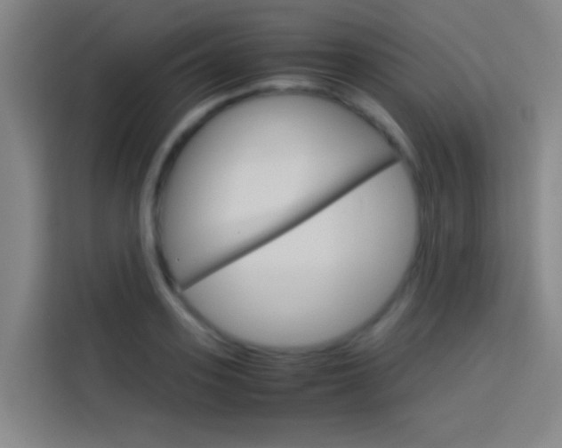 X0000114170939200910081110