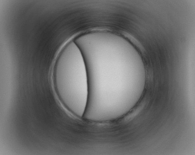 X0000114170941200910081110