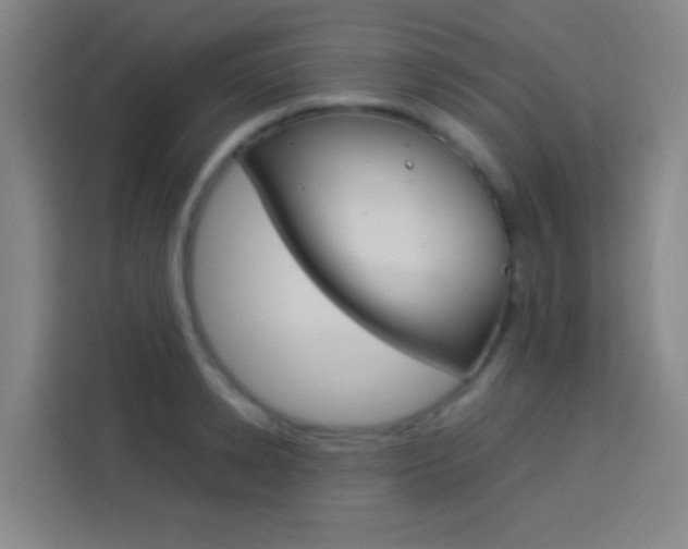 X0000114170942200910081110