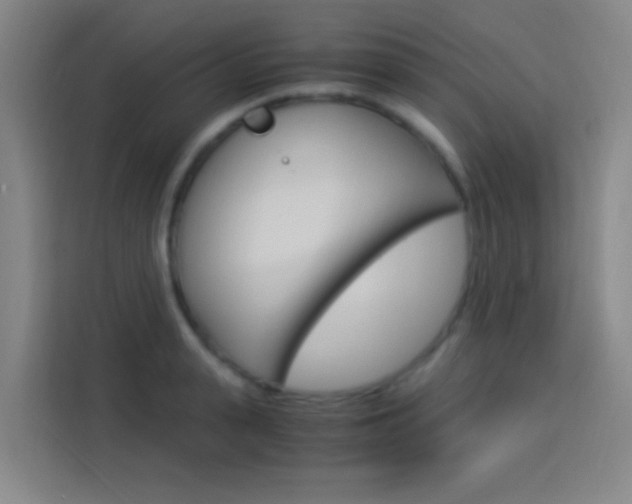 X0000114170943200910081110