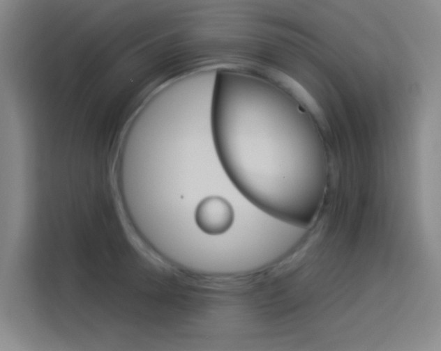 X0000114170946200910081110