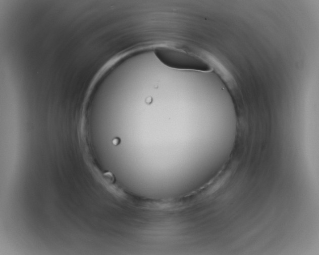 X0000114170948200910081110