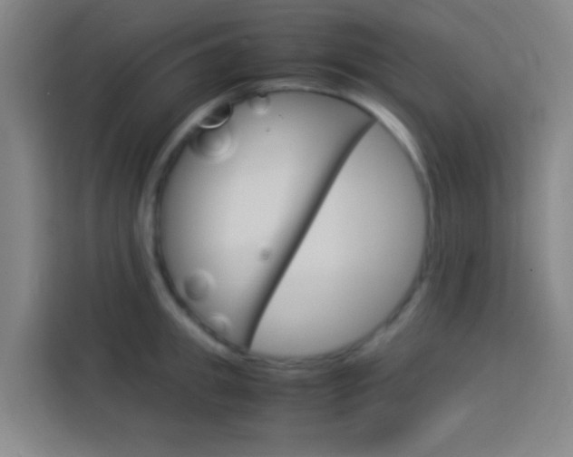 X0000114170949200910081110