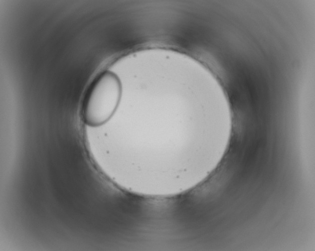 X0000114170950200910081111