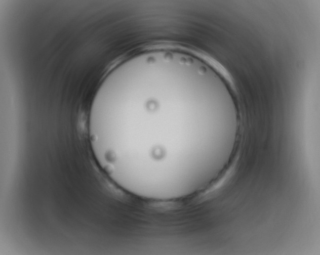 X0000114170953200910081111