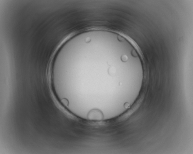 X0000114170957200910081111