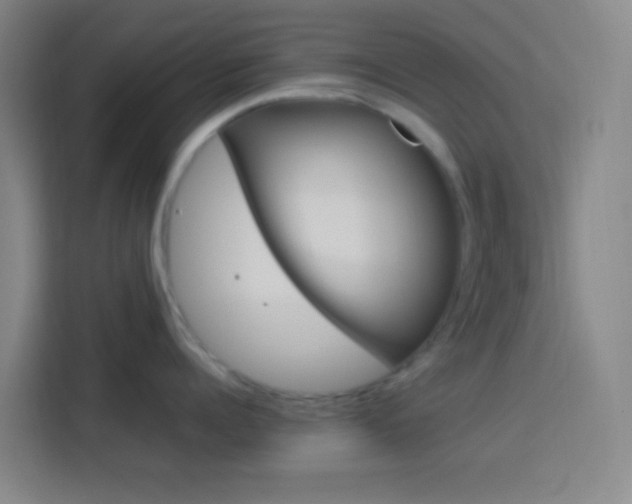 X0000114170960200910081111