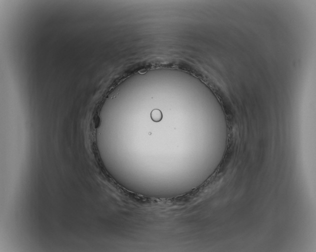 X0000114170961200910081110