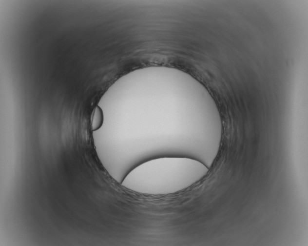 X0000114170962200910081110