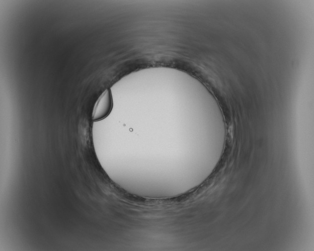X0000114170963200910081110