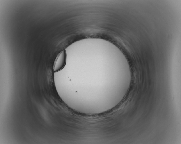 X0000114170964200910081110