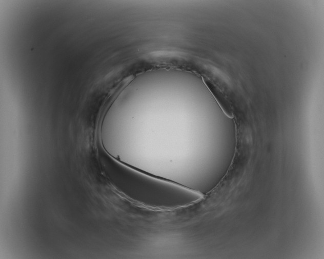 X0000114170965200910081110