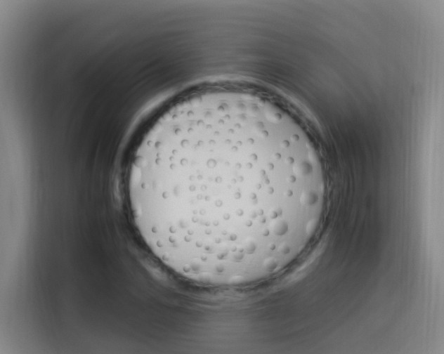 X0000114170974200910081110