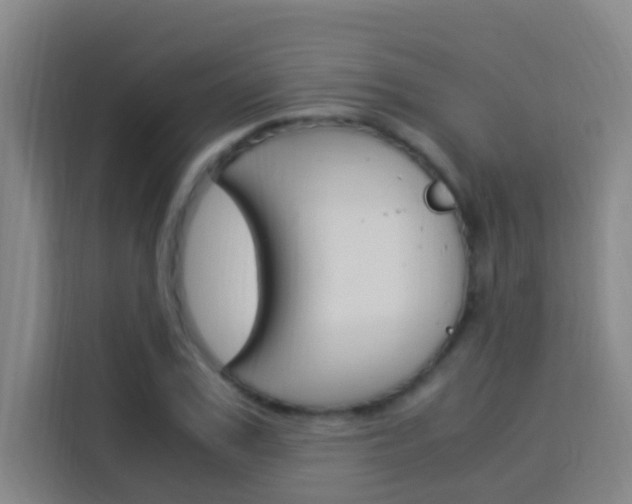 X0000114170979200910081110