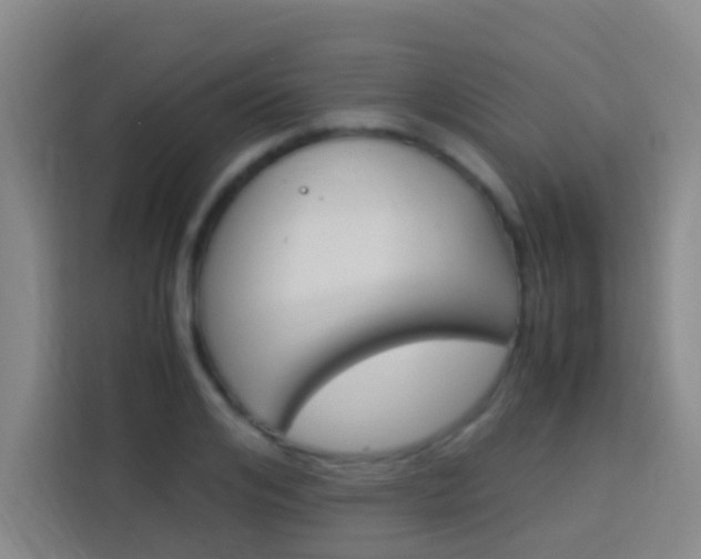 X0000114170984200910081110