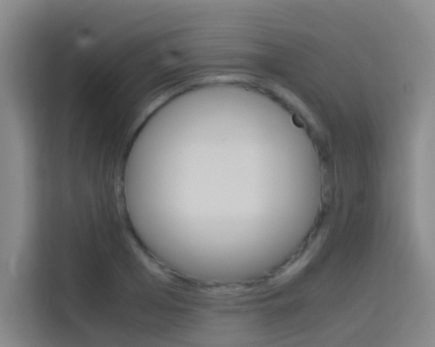X0000114170985200910081110