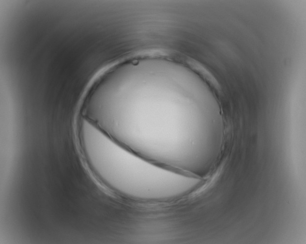 X0000114170989200910081110