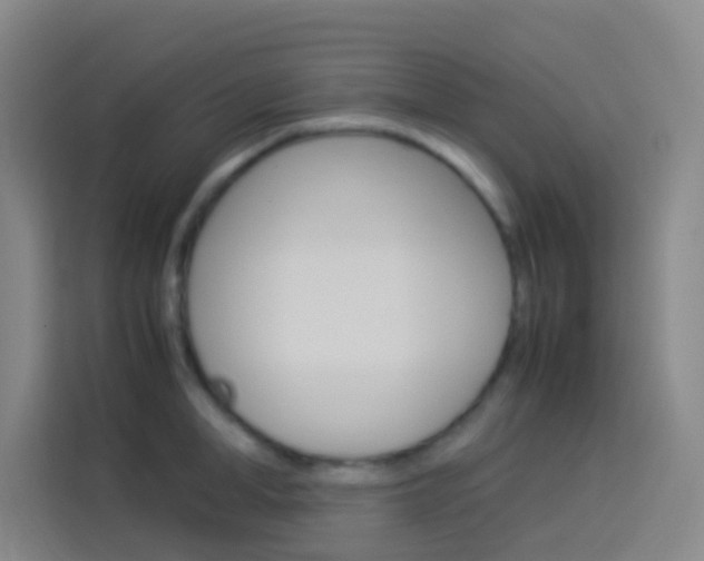 X0000114170998200910081110