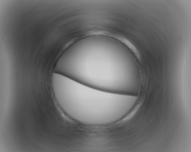 X0000114171001200910081109