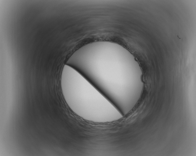 X0000114171010200910081109