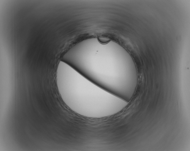 X0000114171012200910081109