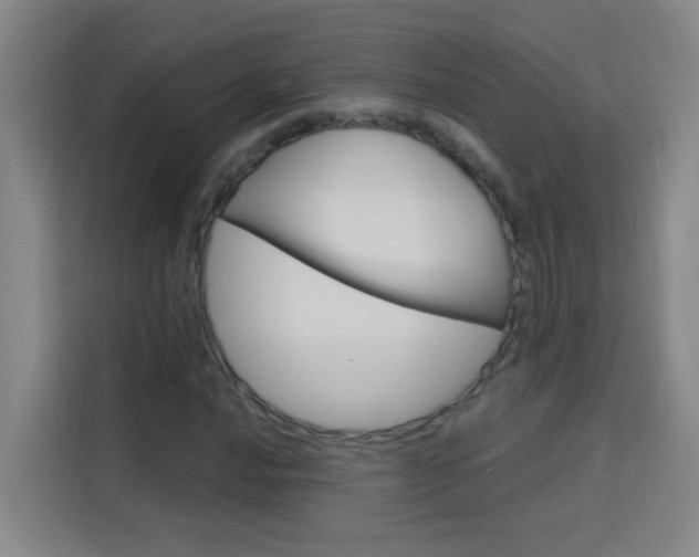 X0000114171016200910081109