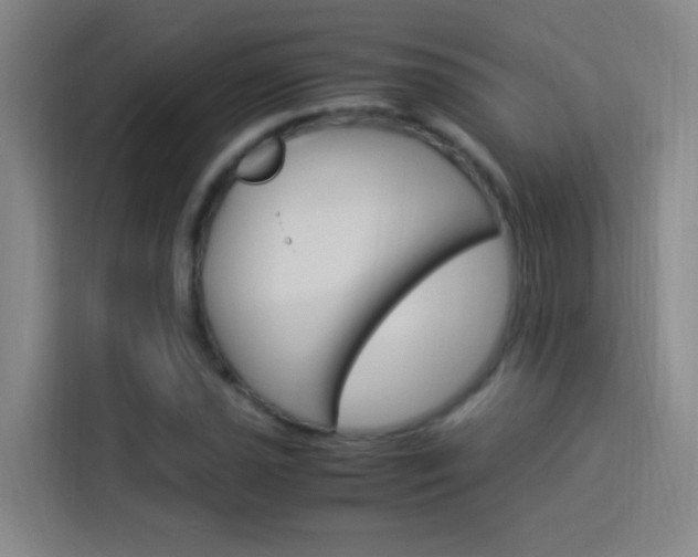 X0000114171021200910081109