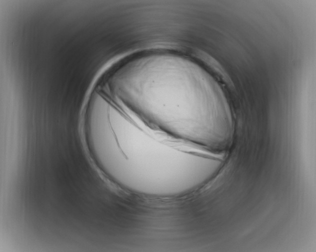 X0000114171024200910081109