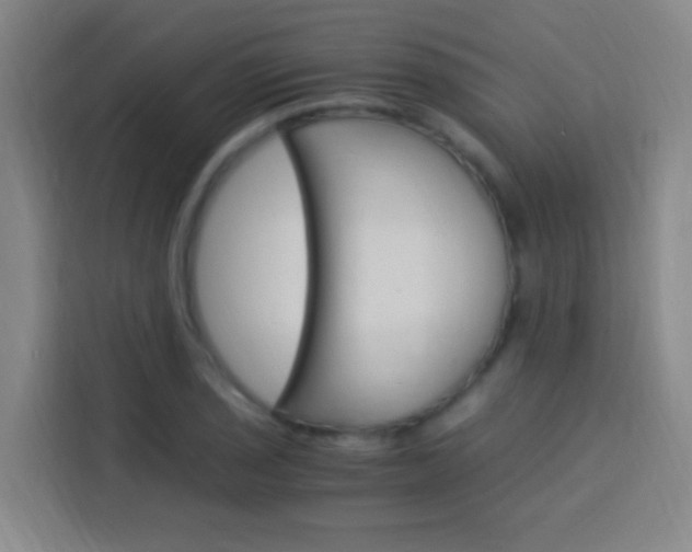 X0000114171029200910081109