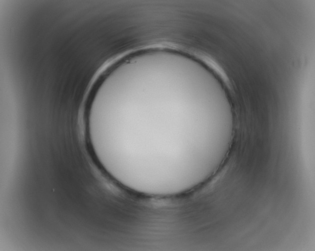 X0000114171032200910081109